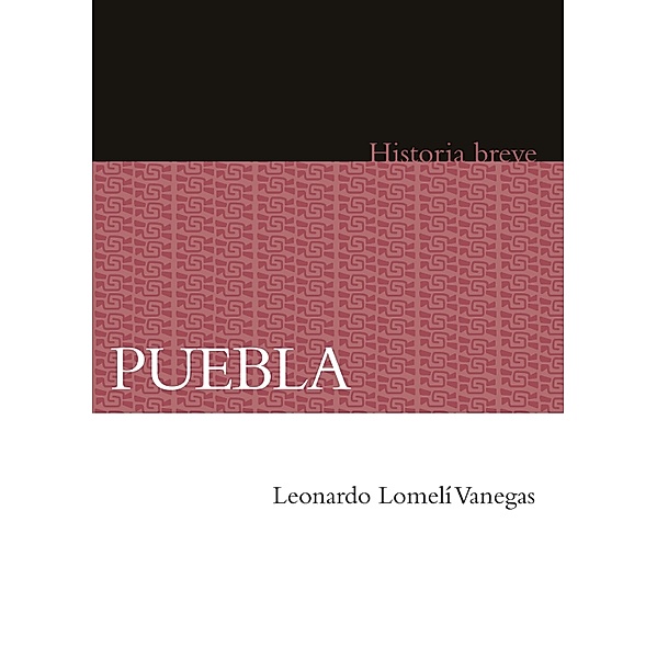 Puebla, Leonardo Lomelí Vanegas, Alicia Hernández Chávez, Yovana Celaya Nández