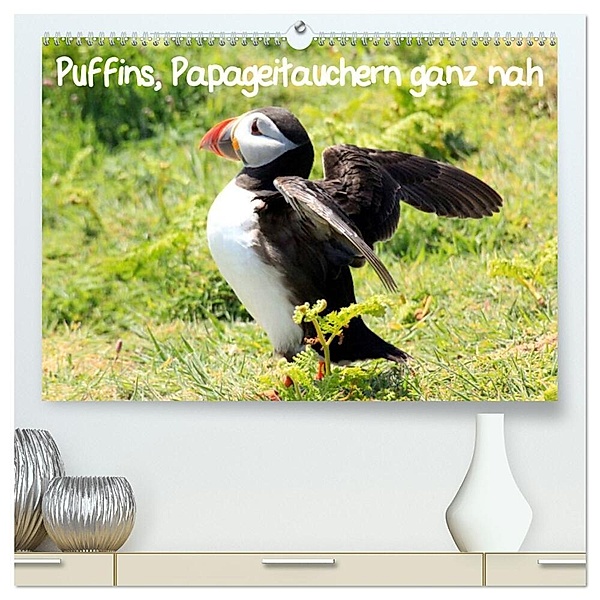 Puffins, Papageitauchern ganz nah (hochwertiger Premium Wandkalender 2024 DIN A2 quer), Kunstdruck in Hochglanz, Natascha Valder