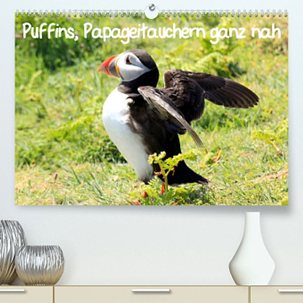 Puffins, Papageitauchern ganz nah (Premium, hochwertiger DIN A2 Wandkalender 2022, Kunstdruck in Hochglanz), Natascha Valder