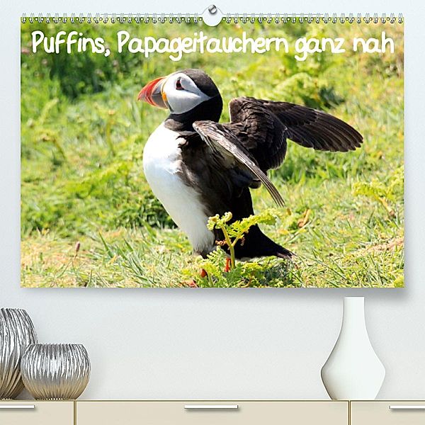Puffins, Papageitauchern ganz nah(Premium, hochwertiger DIN A2 Wandkalender 2020, Kunstdruck in Hochglanz), Natascha Valder