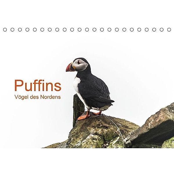 Puffins - Vögel des Nordens (Tischkalender 2017 DIN A5 quer), Geertje Jacob
