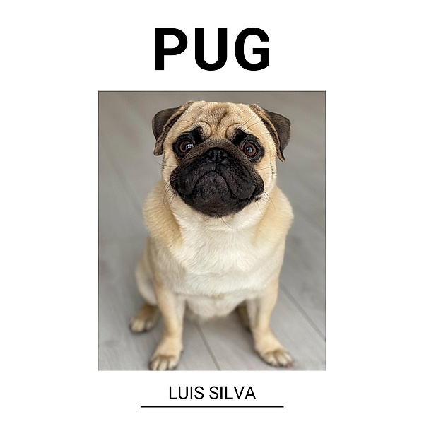 Pug, Luis Silva