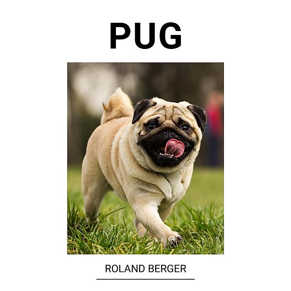 Pug, Roland Berger