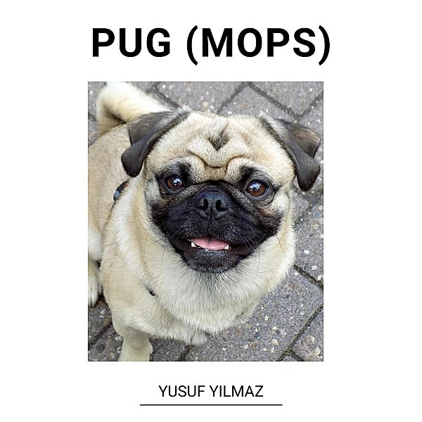 Pug (Mops), Yusuf Yilmaz