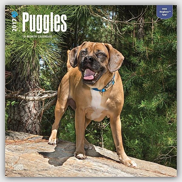 Puggles 2017 - 18-Monatskalender