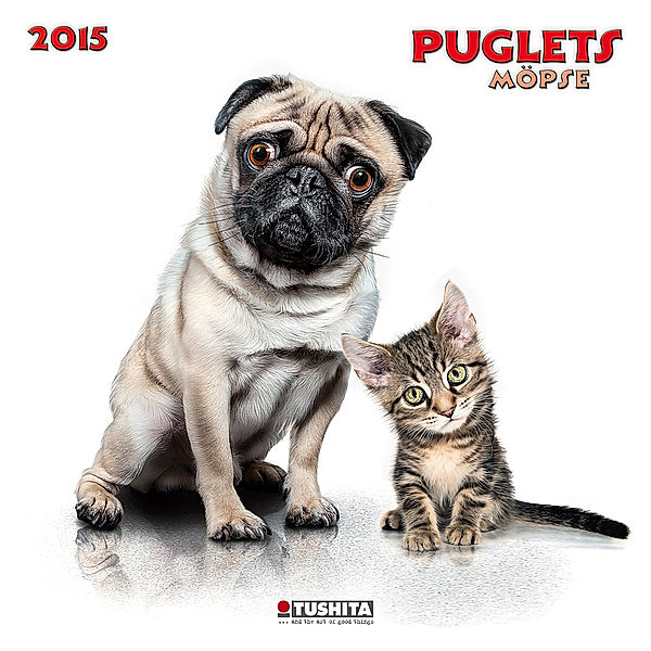 Puglets 2015