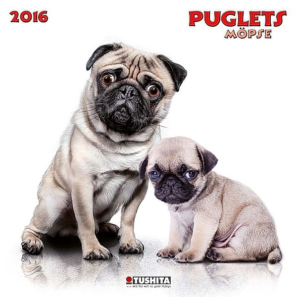 Puglets 2016