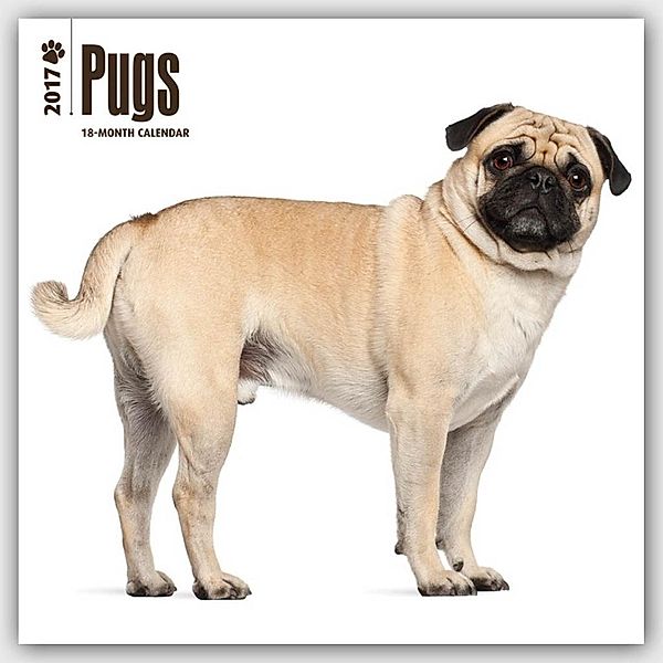 Pugs 2017, Inc Browntrout Publishers