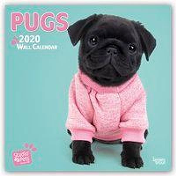 Pugs 2020, Myrna Huijing