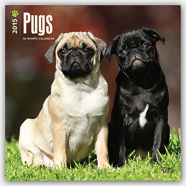 Pugs, Broschürenkalender 2015