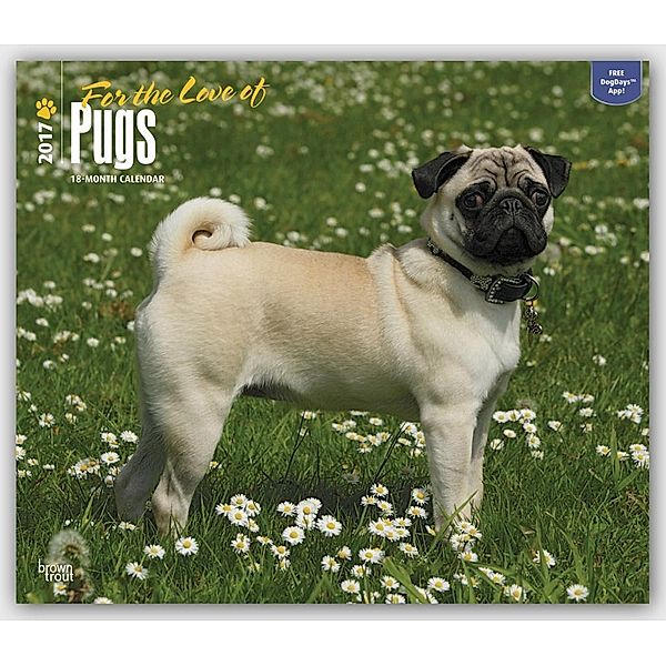 Pugs - For the Love of - Möpse 2017 - 18-Monatskalender