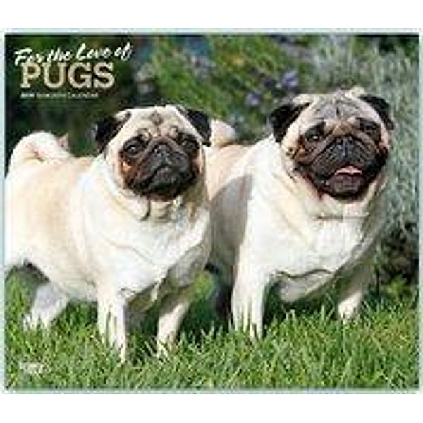 Pugs - For the Love of - Möpse 2019 - 18-Monatskalender mit