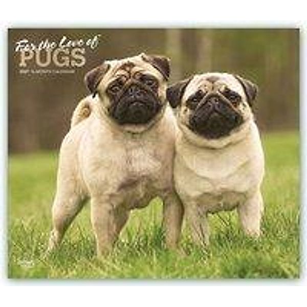 Pugs - For the Love of - Möpse 2021 - 16-Monatskalender mit freier DogDays-App, BrownTrout Publisher