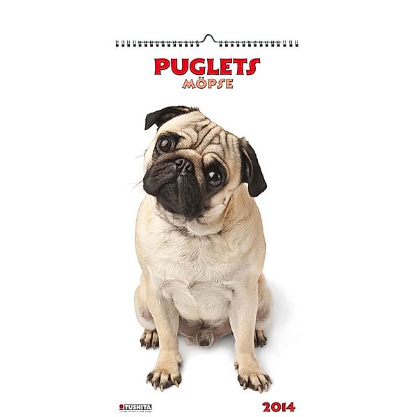 Pugs - Möpse 2014 Decor Calendar