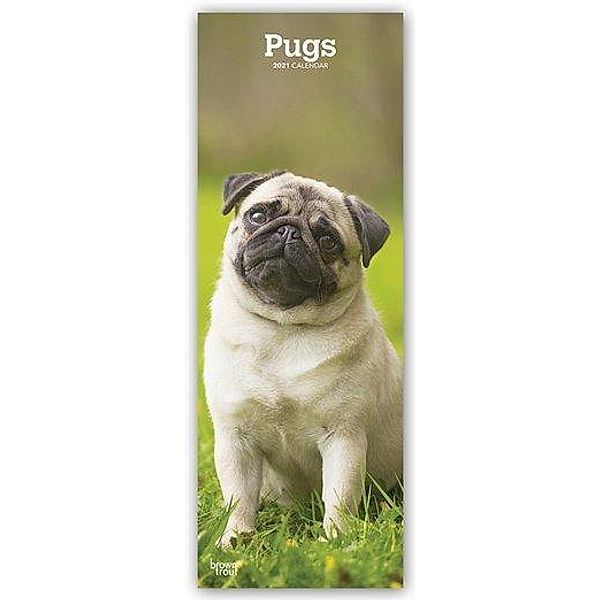 Pugs - Möpse 2021, BrownTrout Publishers