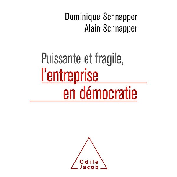 Puissante et fragile, l'entreprise en democratie, Schnapper Dominique Schnapper
