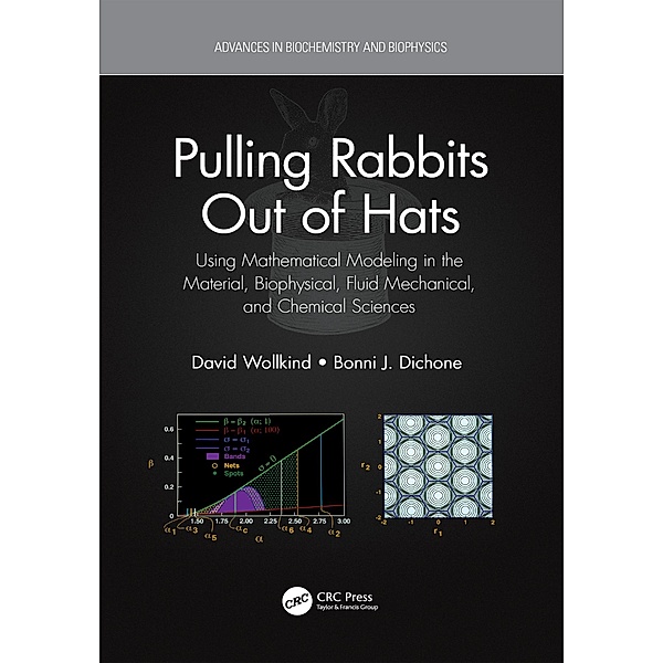 Pulling Rabbits Out of Hats, David Wollkind, Bonni J. Dichone