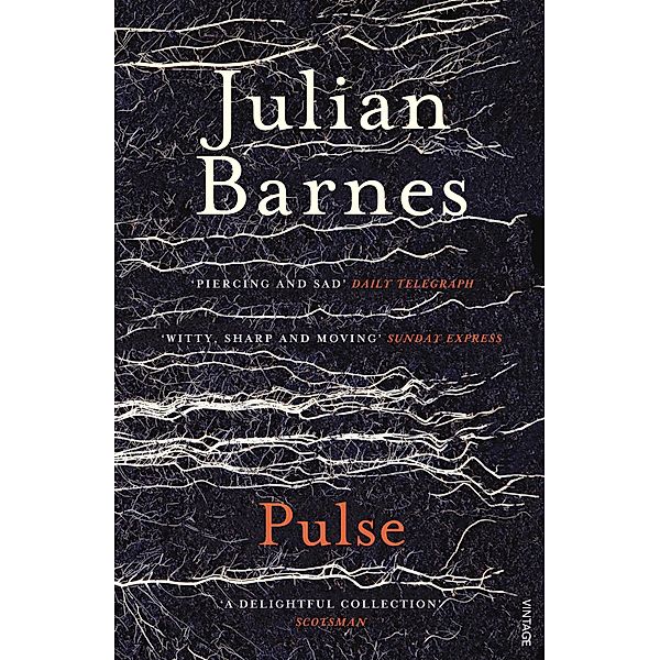 Pulse, Julian Barnes