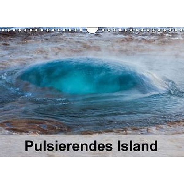 Pulsierendes Island (Wandkalender 2015 DIN A4 quer), Sabine Reuke