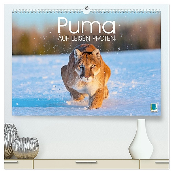 Puma: Auf leisen Pfoten (hochwertiger Premium Wandkalender 2025 DIN A2 quer), Kunstdruck in Hochglanz, Calvendo
