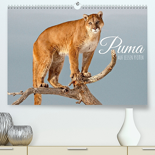 Puma: Auf leisen Pfoten (Premium, hochwertiger DIN A2 Wandkalender 2023, Kunstdruck in Hochglanz), Calvendo