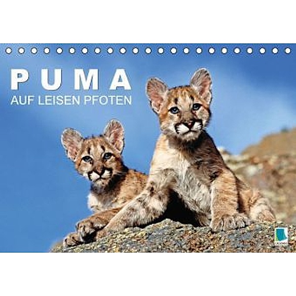 Puma: Auf leisen Pfoten (Tischkalender 2016 DIN A5 quer), Calvendo