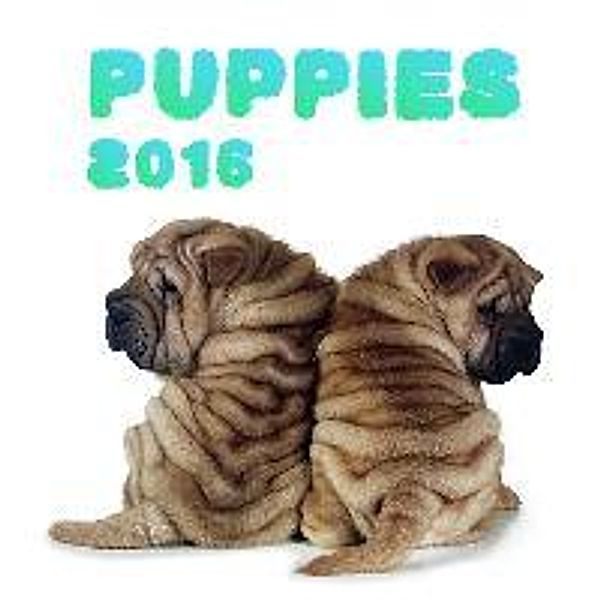 Puppies 2016