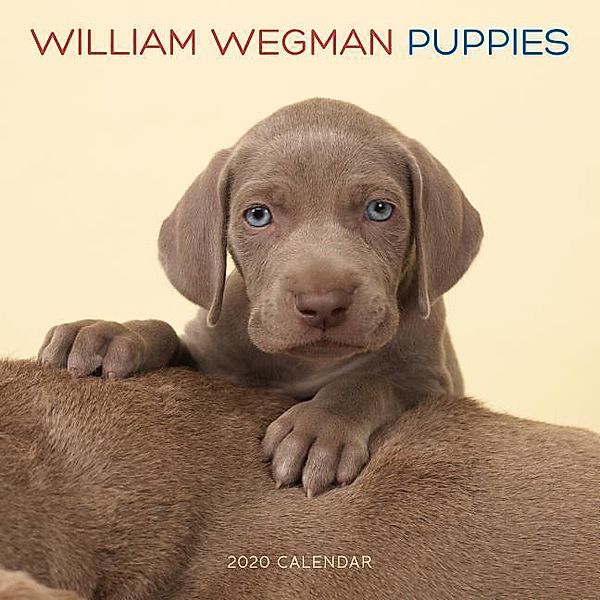 Puppies 2020, William Wegman