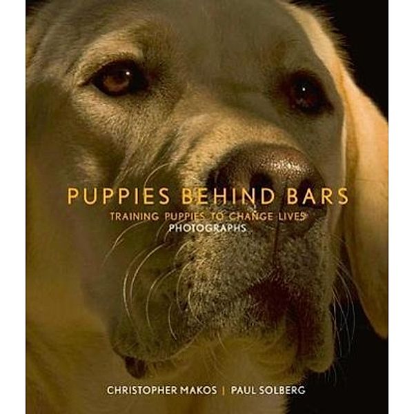 Puppies Behind Bars, Christopher Makos, Paul Solberg