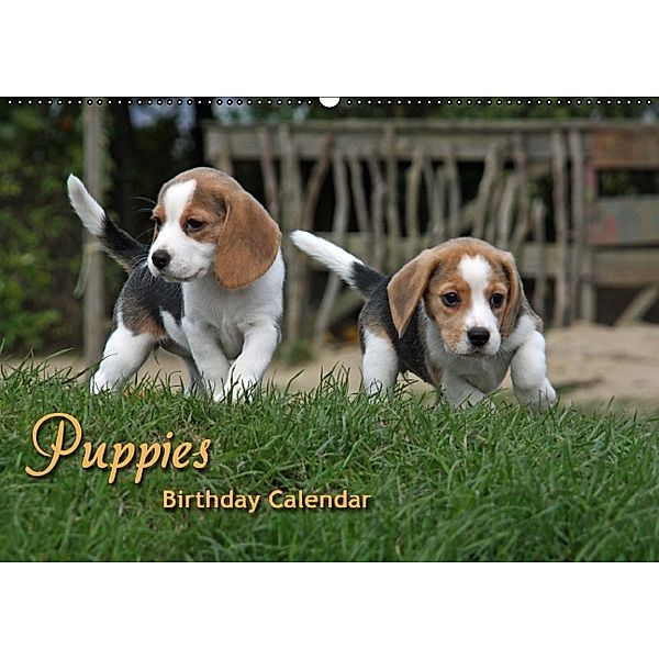 Puppies Birthday Calendar / UK-Version (Wall Calendar perpetual DIN A2 Landscape), Antje Lindert-Rottke