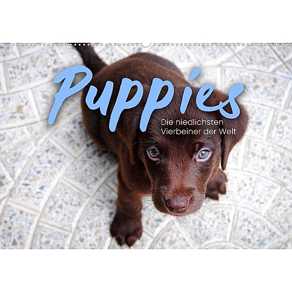 Puppies - Die niedlichsten Vierbeiner der Welt. (Wandkalender 2023 DIN A2 quer), SF