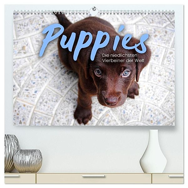 Puppies - Die niedlichsten Vierbeiner der Welt. (hochwertiger Premium Wandkalender 2024 DIN A2 quer), Kunstdruck in Hochglanz, SF