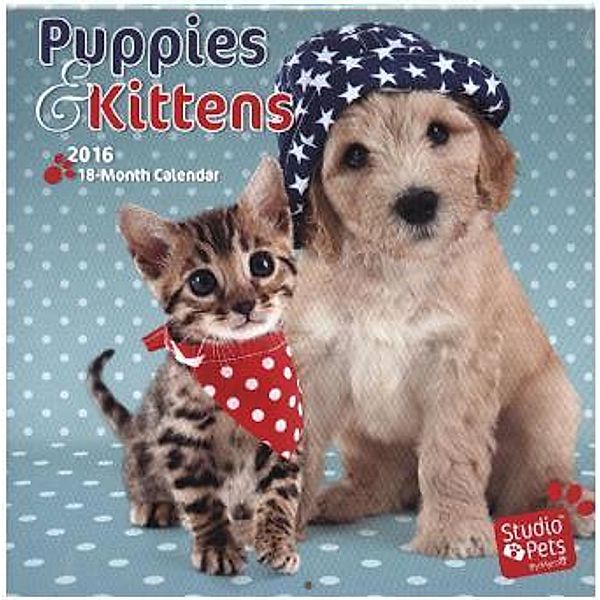 Puppies & Kittens 2016