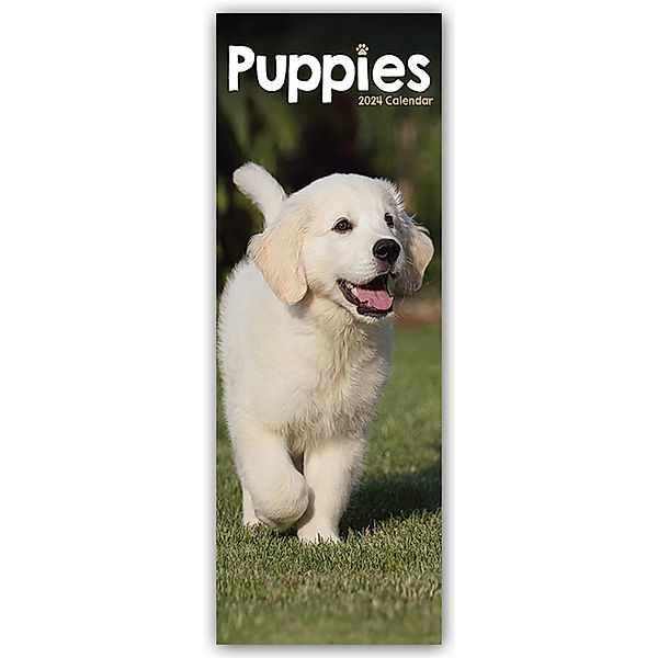 Puppies - Welpen 2024, Avonside Publishing Ltd