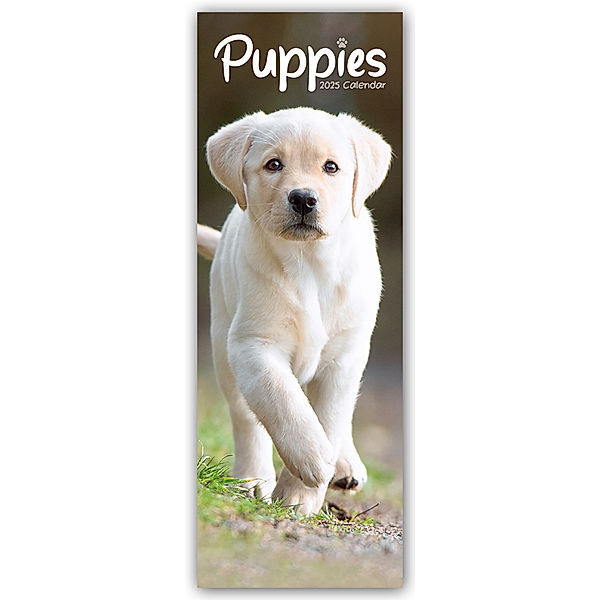 Puppies - Welpen 2025, Avonside Publishing Ltd