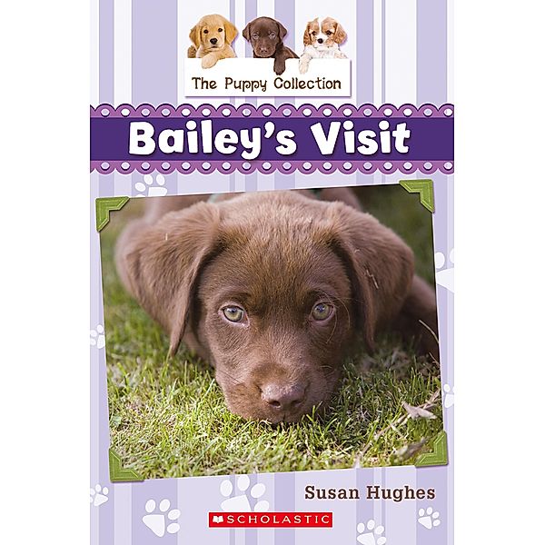 Puppy Collection #1: Bailey's Visit / The Puppy Collection, Susan Hughes