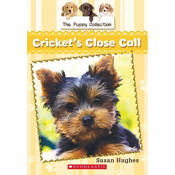 Puppy Collection #6: Cricket's Close Call / The Puppy Collection, Susan Hughes