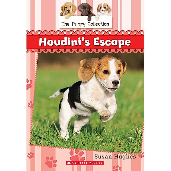 Puppy Collection #7: Houdini's Escape / The Puppy Collection, Susan Hughes