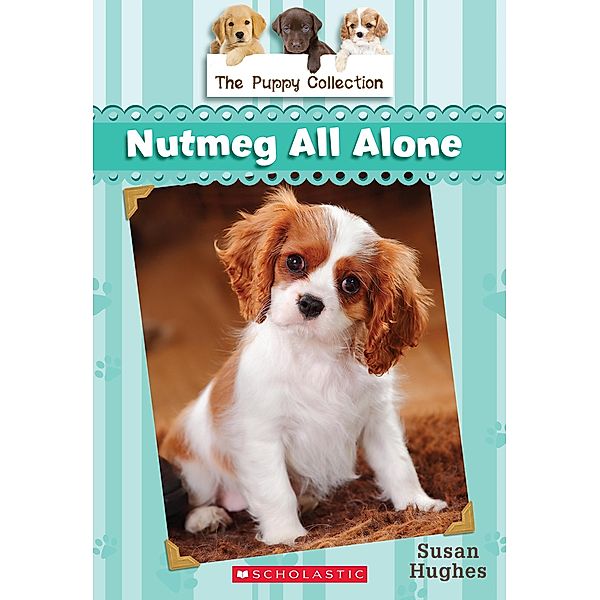 Puppy Collection #8: Nutmeg All Alone / The Puppy Collection, Susan Hughes