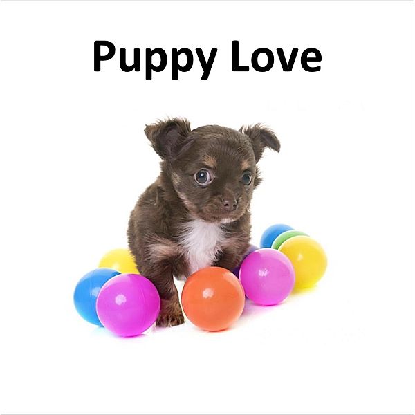 Puppy Love, António Lestér