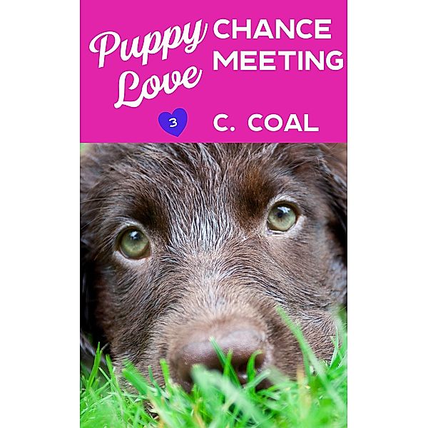 Puppy Love Chance Meeting / Puppy Love, C. Coal