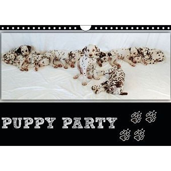 Puppy Party (Wandkalender 2014 DIN A4 quer), Christine Ströhlein