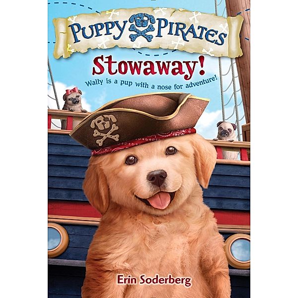 Puppy Pirates #1: Stowaway! / Puppy Pirates Bd.1, Erin Soderberg