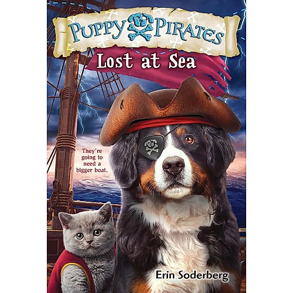 Puppy Pirates #7: Lost at Sea / Puppy Pirates Bd.7, Erin Soderberg