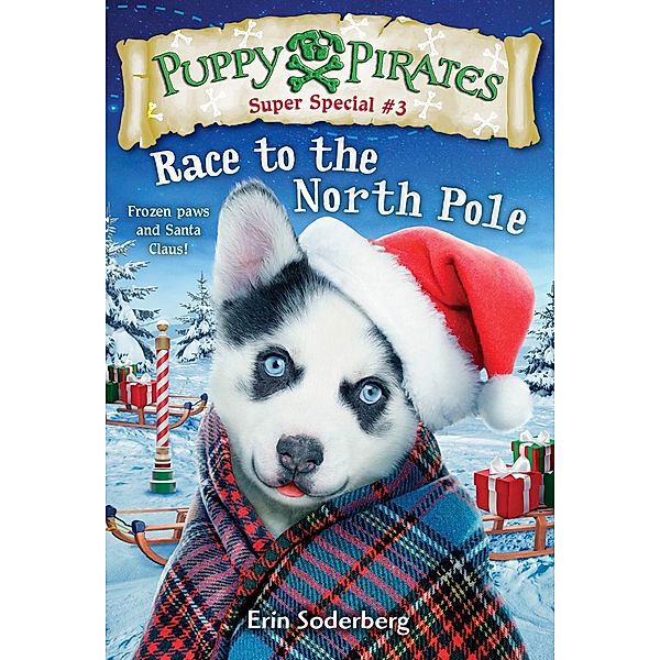 Puppy Pirates Super Special #3: Race to the North Pole / Puppy Pirates Bd.3, Erin Soderberg
