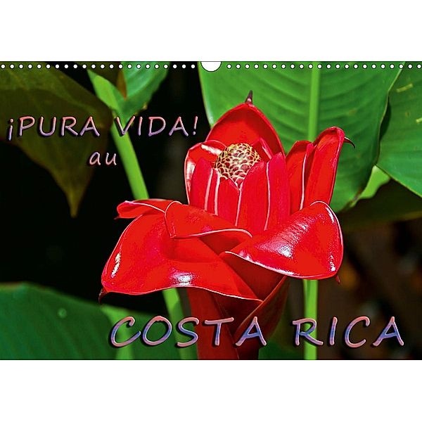 ¡Pura Vida! au Costa Rica (Calendrier mural 2021 DIN A3 horizontal), Andreas Schoen