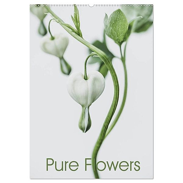 Pure Flowers (Wandkalender 2024 DIN A2 hoch), CALVENDO Monatskalender, Andreas Lauermann