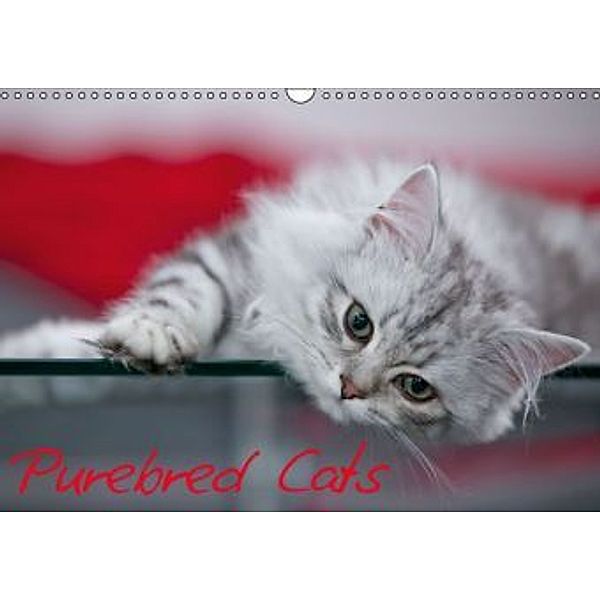 Purebred Cats (UK-Version) (Wall Calendar 2014 DIN A3 Landscape), Melanie Viola