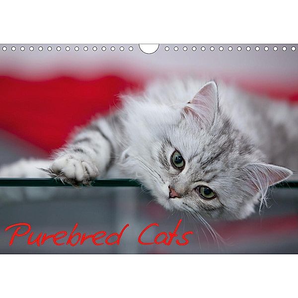 Purebred Cats (UK-Version) (Wall Calendar 2021 DIN A4 Landscape), Melanie Viola