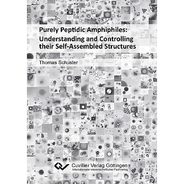 Purely Peptidic Amphiphiles: Understanding and Controlling their Self-Assembled Structures